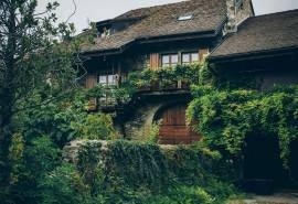 莫奈的花园风景win8高清电脑桌面主题壁纸图片下载