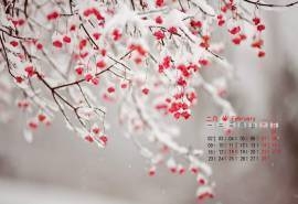 2015年2月日历壁纸冰雪中的红色果子唯美意境风景高清图片下载