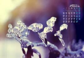 2015年2月日历壁纸好看的冬季冰雪中植物唯美意境风景图片下载（2）