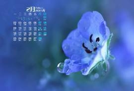 2015年2月日历蓝色浪漫绽放的花朵高清屏保桌面壁纸电脑图片