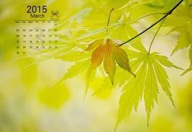 2015年3月日历洒满阳光的温馨暖色调绿叶高清屏保桌面壁纸电脑图片(1)
