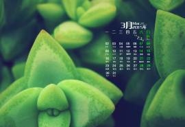 2015年3月日历壁纸小清新绿色护眼多肉植物高清桌面图片下载