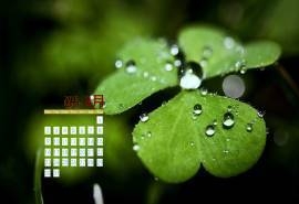 2015年3月日历壁纸精选清新大自然绿色护眼四叶草高清图片下载(二)