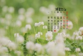 2015年3月日历壁纸精选保护视力的绿色护眼四叶草高清素材图片下载(二)