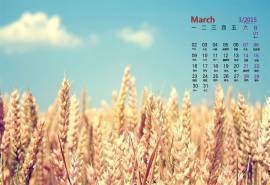 2015年3月日历壁纸lomo怀旧风格蓝天下的金色稻田唯美意境风景图片下载