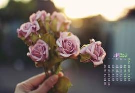2015年3月日历壁纸很唯美的非主流治愈系指尖上的静物花束高清图片下载