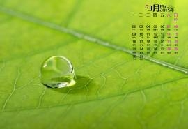 2015年3月日历电脑桌面主题壁纸保护眼睛的养眼绿色图片下载(1)