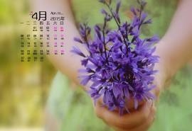 2015年4月日历壁纸手捧一束紫色薰衣草唯美非主流图片下载