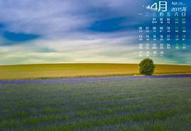 2015年4月日历代表浪漫象征爱情的薰衣草唯美意境风景高清桌面壁纸图片(4)