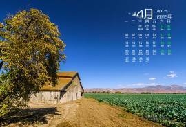 2015年4月日历精选加州美景蒙特雷怡人风光高清电脑图片桌面壁纸(5)