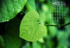 2015年4月日历到大自然做深呼吸唯美养眼植物高清电脑图片桌面壁纸(1)