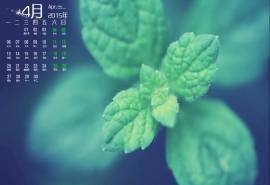 2015年4月日历到大自然做深呼吸唯美养眼植物高清电脑图片桌面壁纸(6)