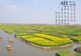 2015年4月日历漫山遍野的油菜花美景欣赏高清电脑图片桌面壁纸(3)