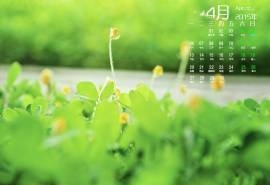 2015年4月日历春季唯美生机绿色自然高清电脑图片桌面壁纸(1)