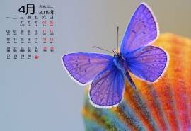 2015年4月日历春季唯美生机绿色自然高清电脑图片桌面壁纸(2)