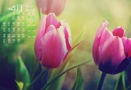 2015年4月日历春季唯美生机绿色自然高清电脑图片桌面壁纸(3)