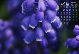 2015年4月日历春季唯美生机绿色自然高清电脑图片桌面壁纸(4)