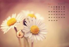 2015年4月日历生机勃发的自然植物花朵高清电脑图片素材桌面壁纸(4)