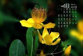 2015年4月日历生机勃发的自然植物花朵高清电脑图片素材桌面壁纸(2)