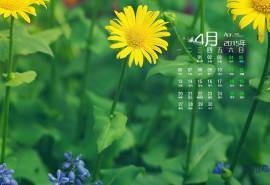 2015年4月日历生机勃发的自然植物花朵高清电脑图片素材桌面壁纸(3)