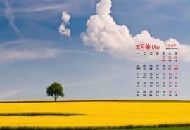 2015年5月日历壁纸金色的田野唯美田园风光高清电脑图片下载