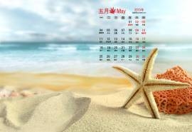 2015年5月日历壁纸金色沙滩上的可爱海星高清海边风景图片下载
