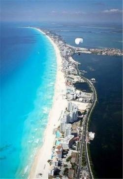 夏日小新清蓝色大海与游玩的鱼儿高清苹果手机壁纸下载