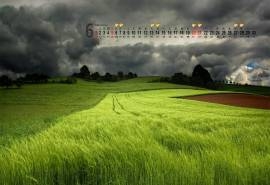 2015年6月日历壁纸精选保护视力的大自然风景绿色图片下载4