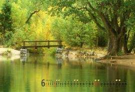 2015年6月日历壁纸精选保护视力的大自然风景绿色图片下载5