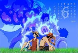 2015年6月日历日本超人气热血动漫海贼王高清电脑壁纸下载（一）