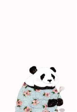 超简约个性图片高清手机壁纸下载（二）