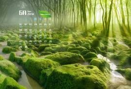 2015年6月日历壁纸精选大自然美丽风景绿色护眼经典图片1