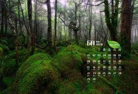2015年6月日历壁纸精选大自然美丽风景绿色护眼经典图片3