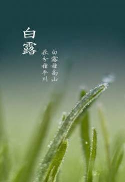 白露时节iPhone5手机壁纸下载