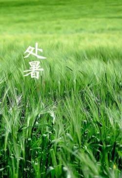 炎热酷暑iPhone5壁纸下载