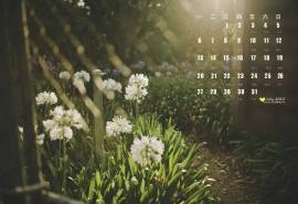 2015年7月日历精选光辉落下的美景花园高清壁纸下载