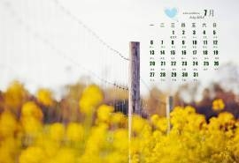 2015年7月日历精选非主流图片桌面壁纸下载
