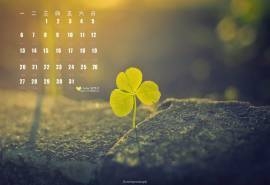 2015年7月日历唯美四叶草护眼高清电脑桌面壁纸下载