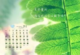 2015年7月日历小清新文字控护眼高清电脑桌面壁纸下载1