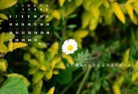 2015年7月日历小清新文字控护眼高清电脑桌面壁纸下载2