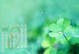 2015年8月日历精选小清新爱情四叶草护眼桌面壁纸下载