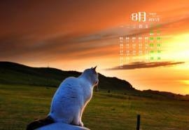2015年8月日历壁纸黄昏下眺望远方的可爱猫咪图片