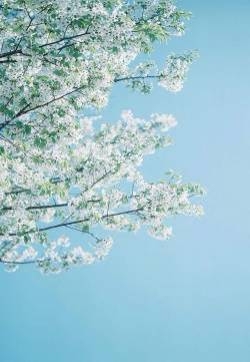 夏日专属小清新风景图片iphone5壁纸下载