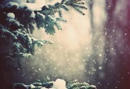 精选美丽的雪景桌面壁纸图片下载