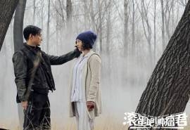 精选《滚蛋吧！肿瘤君》白百合吴彦祖桌面壁纸下载
