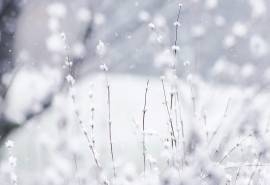 精选雪景桌面壁纸下载