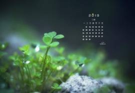 2015年9月日历壁纸精选绿色护眼四叶草唯美风景图片5