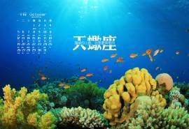 2015年10月日历天蝎座唯美语录高清桌面壁纸下载3