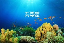 天蝎座唯美语录高清桌面壁纸下载4
