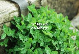 天蝎座唯美语录高清桌面壁纸下载8